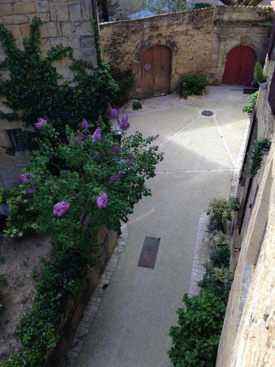 شقة Les Toits De Sarlat المظهر الخارجي الصورة